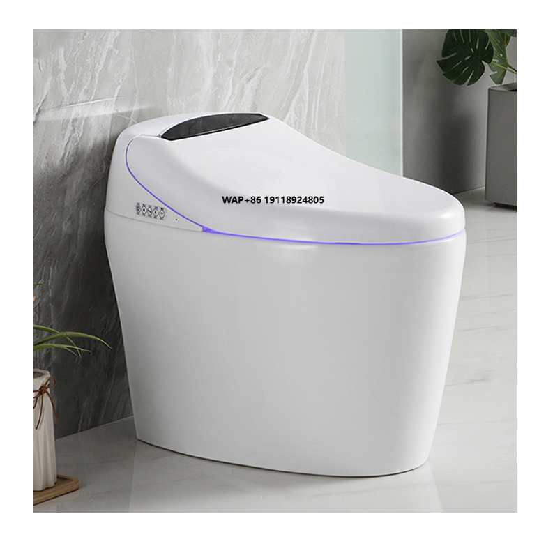 Home Bathroom Ware - Wysokiej klasy automatyczna toaleta z funkcją