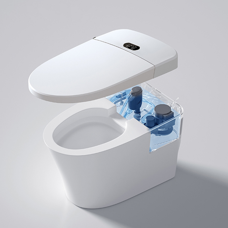 Nowoczesna inteligentna toalet – Home Bathroom Ware recenzja i cena