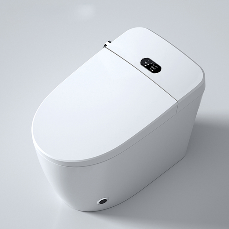 Nowoczesna inteligentna toalet – Home Bathroom Ware recenzja i cena
