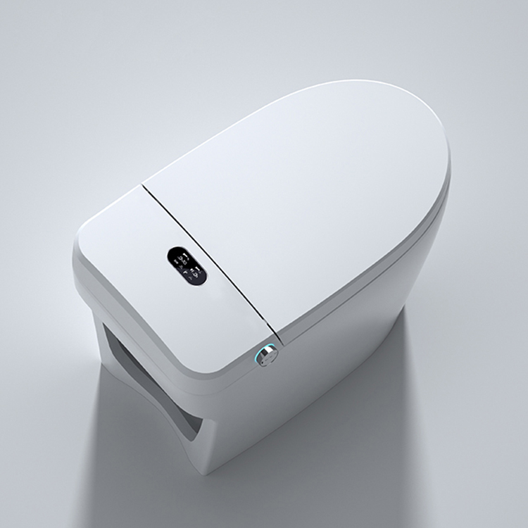 Nowoczesna inteligentna toalet – Home Bathroom Ware recenzja i cena