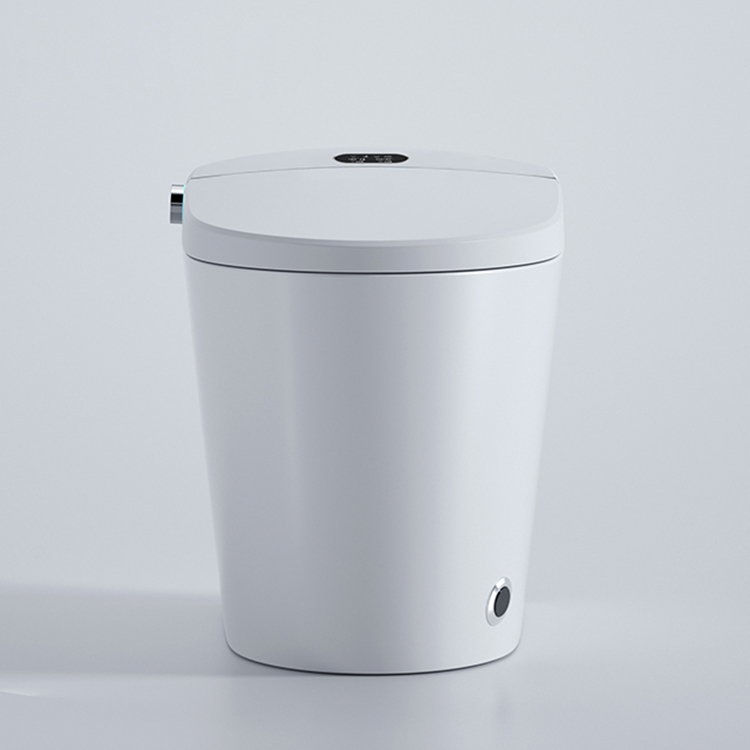 Nowoczesna inteligentna toalet – Home Bathroom Ware recenzja i cena