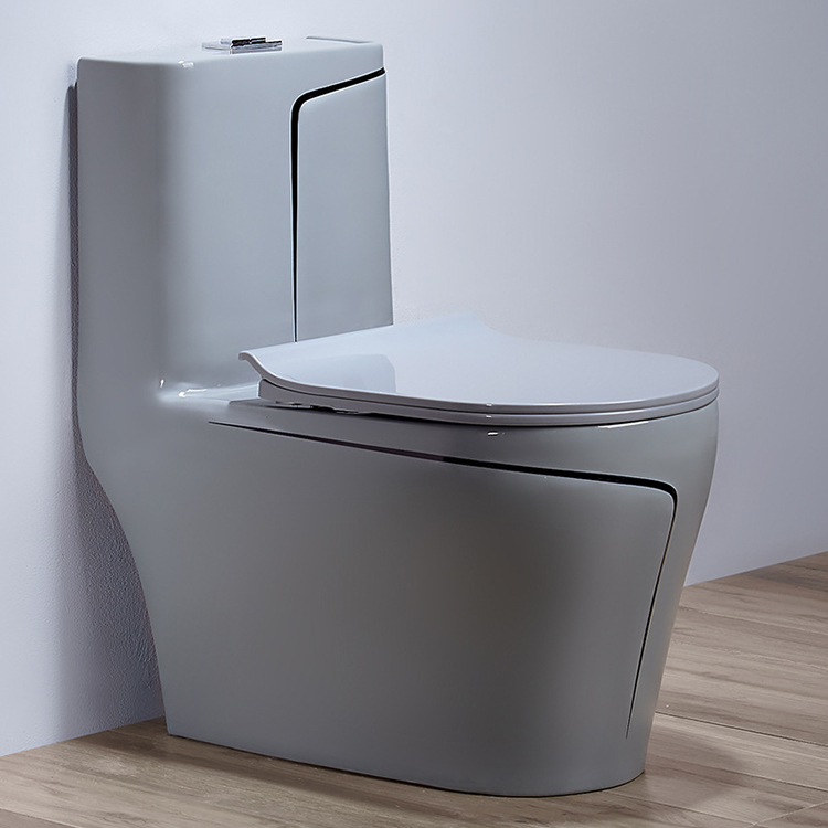 Szary ceramiczny bidet zintegr – Home Bathroom Ware recenzja i cena