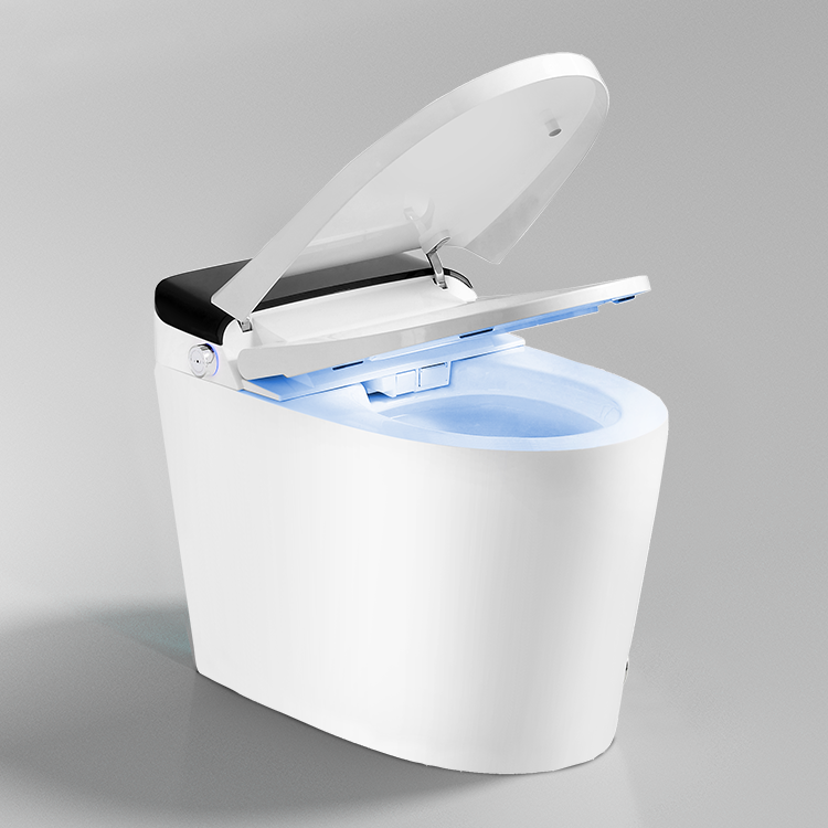 Hotelowa toaleta z inteligentn – Home Bathroom Ware recenzja i cena