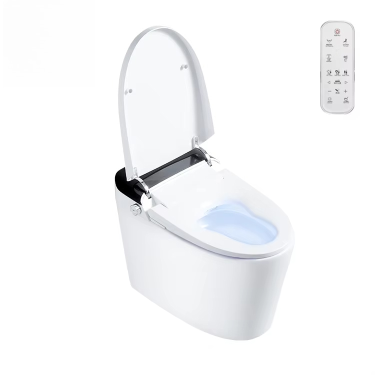 Hotelowa toaleta z inteligentn – Home Bathroom Ware recenzja i cena