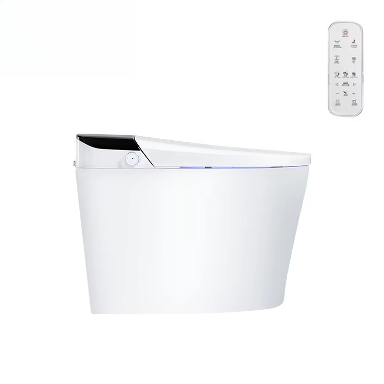 Hotelowa toaleta z inteligentn – Home Bathroom Ware recenzja i cena
