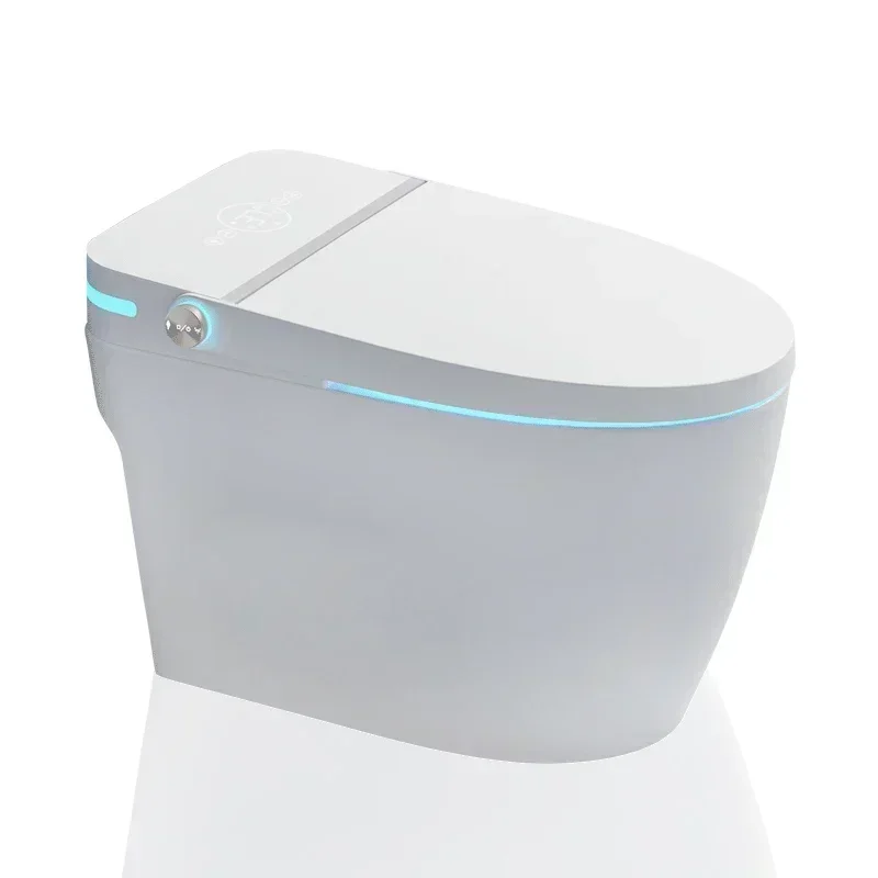 Ceramiczna, zintegrowana toale – Home Bathroom Ware recenzja i cena